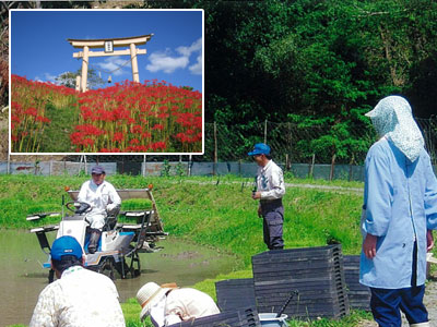 集落を紹介する代表的な写真