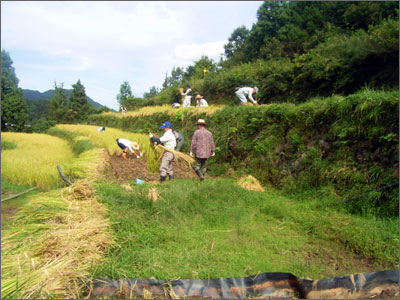 集落を紹介する代表的な写真