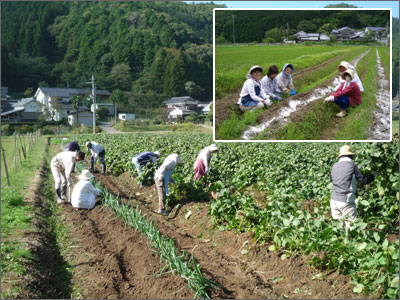 集落を紹介する代表的な写真