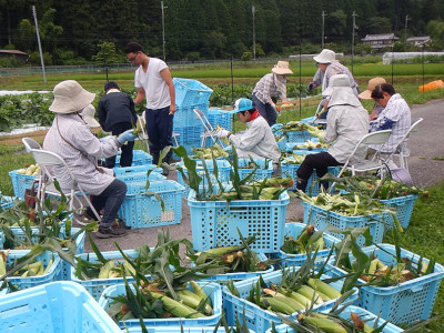 集落を紹介する代表的な写真