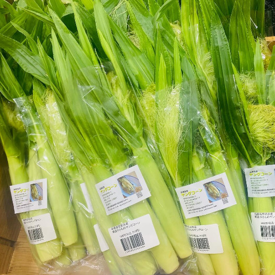 ヤングコーン写真