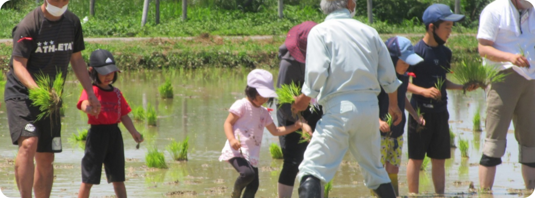 親子農業体験教室インストラクター募集