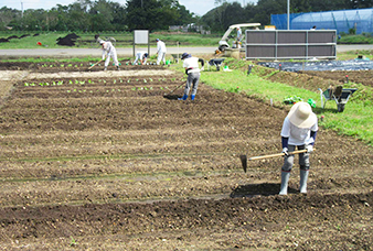 生きがい農業コース作業風景