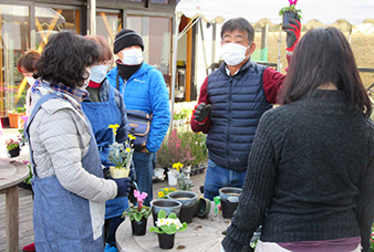 寄せ植え