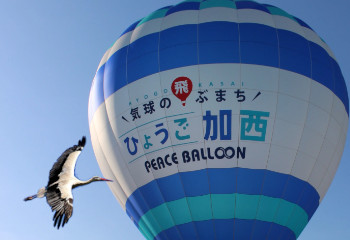 気球体験
