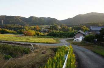 淡河町風景